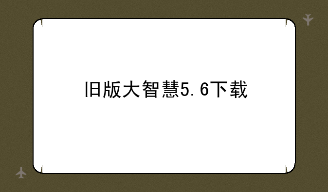 旧版大智慧5.6下载