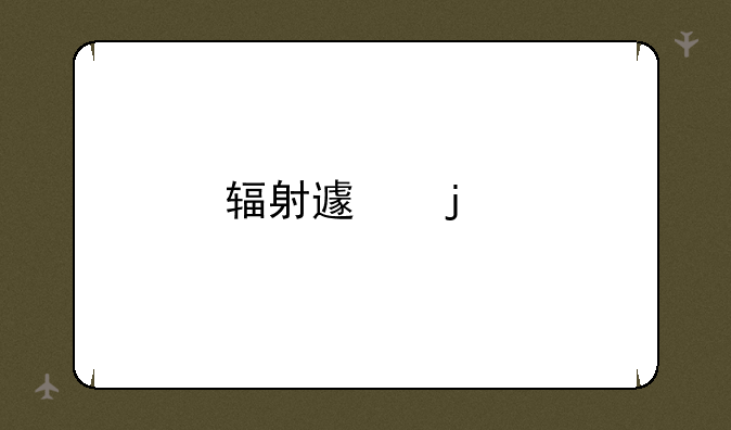 辐射避难所攻略？
