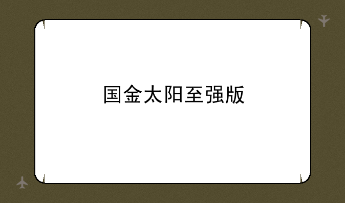 国金太阳至强版