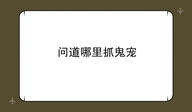 问道哪里抓鬼宠