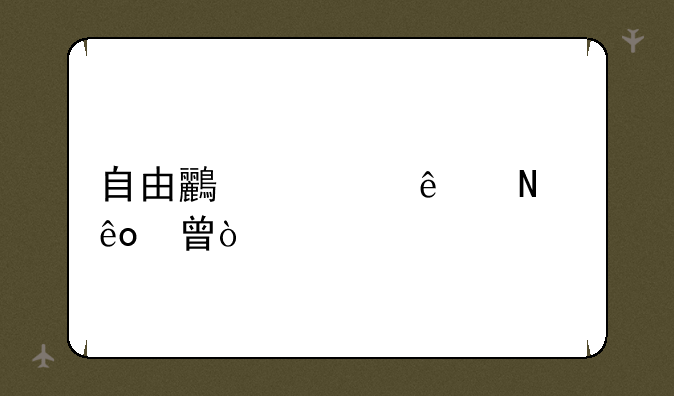 自由鸟出了哪些书？