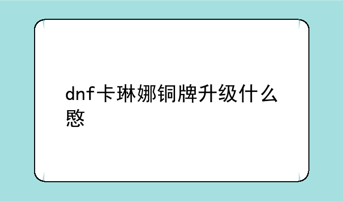 dnf卡琳娜铜牌升级什么意思